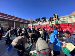 定日地震一周年 壹基金多个灾后项目落地